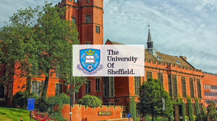 THE UNIVERSITY OF SHEFFIELD — RITE APPLY