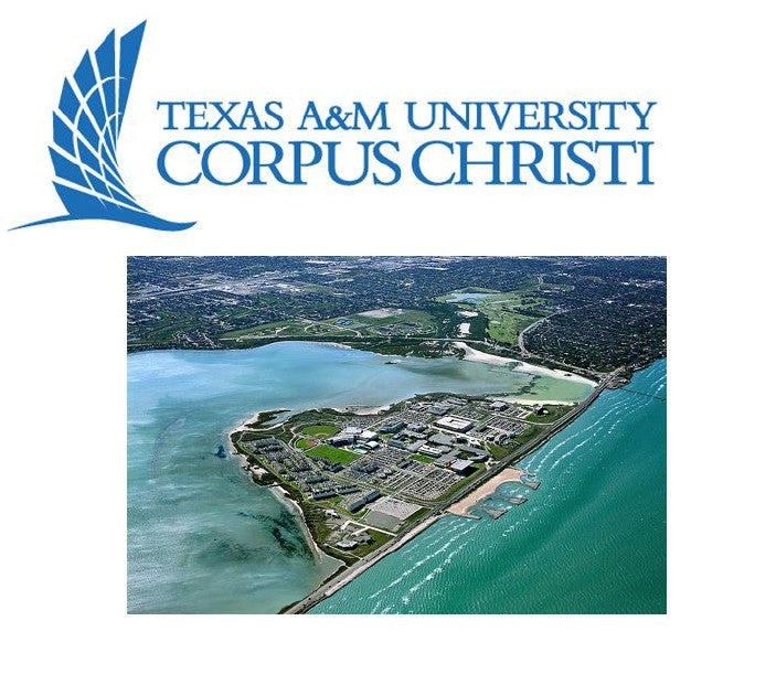 Master of Business Administration - Data Analysis at Texas A&M University - Corpus Christi: Tuition: $13,769.00 USD/year (Scholarship Available)